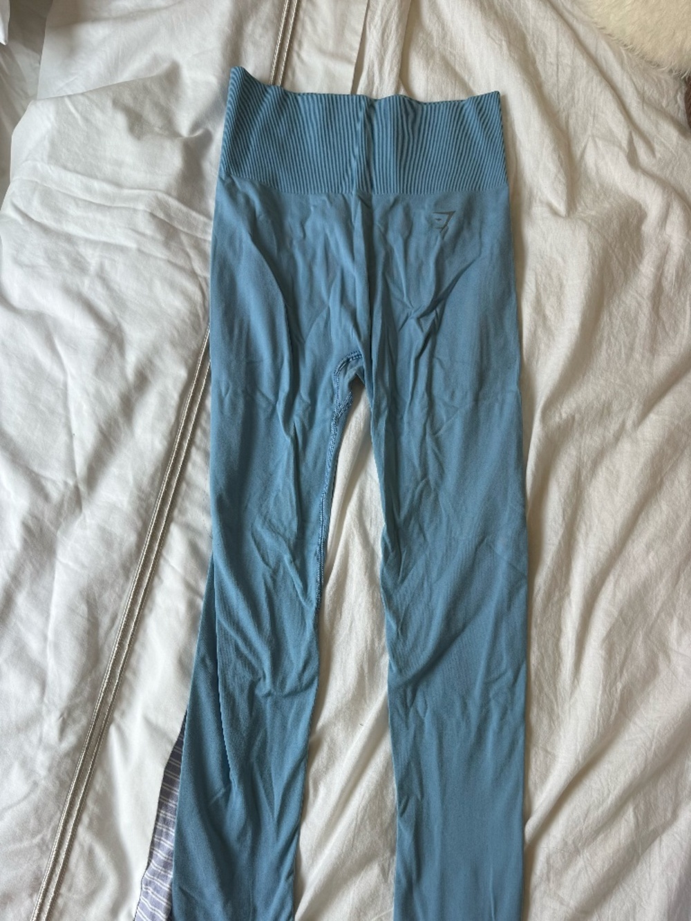 Gym Shark Leggings
